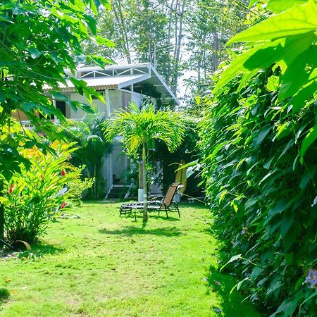 Olivia Del Caribe Suite Puerto Viejo de Talamanca Ngoại thất bức ảnh