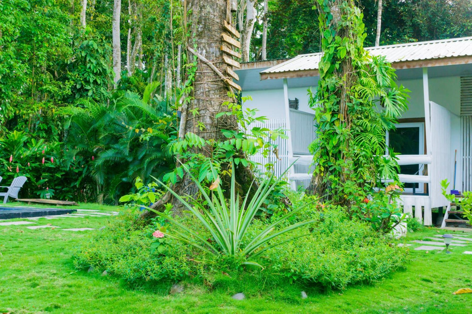 Olivia Del Caribe Suite Puerto Viejo de Talamanca Ngoại thất bức ảnh
