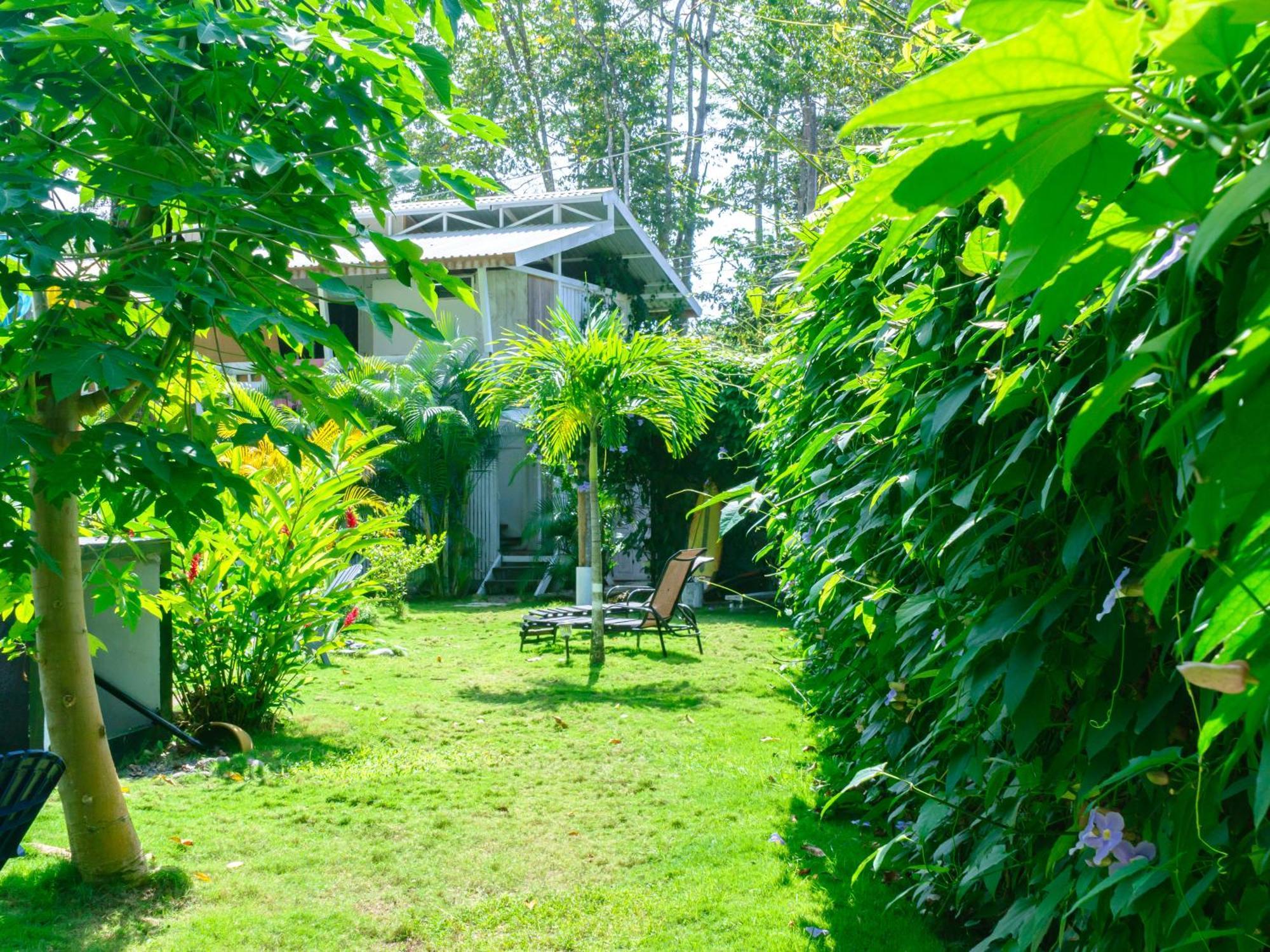 Olivia Del Caribe Suite Puerto Viejo de Talamanca Ngoại thất bức ảnh
