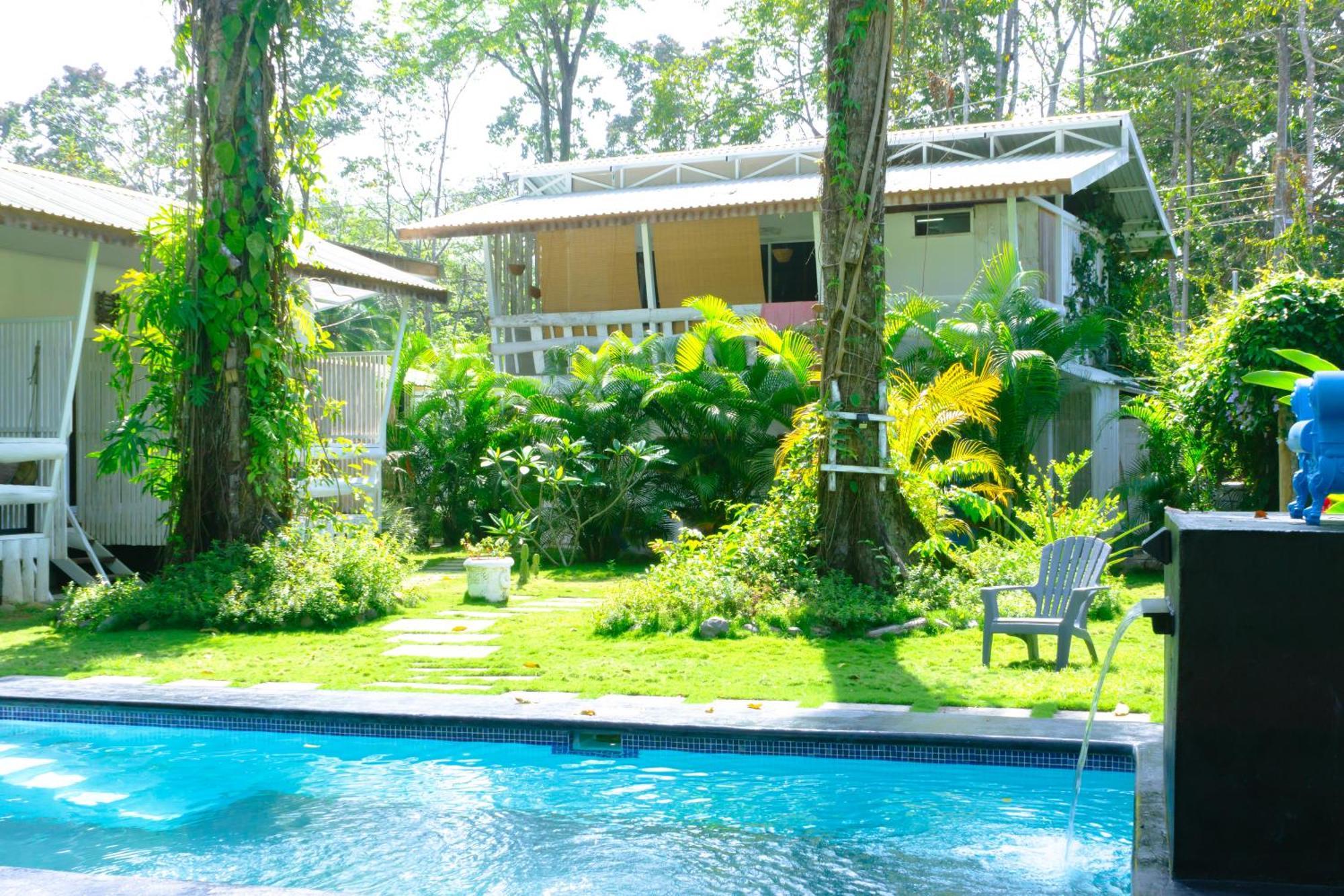 Olivia Del Caribe Suite Puerto Viejo de Talamanca Ngoại thất bức ảnh