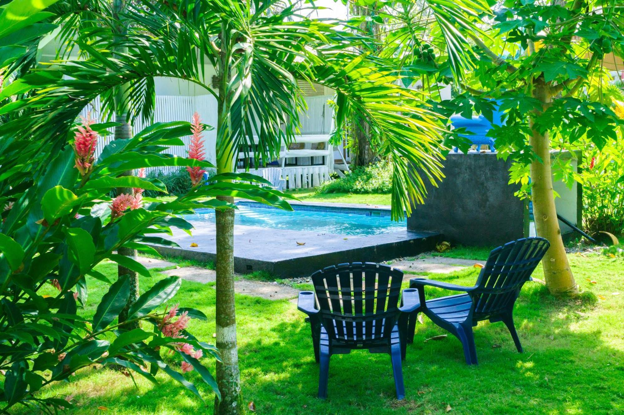 Olivia Del Caribe Suite Puerto Viejo de Talamanca Ngoại thất bức ảnh