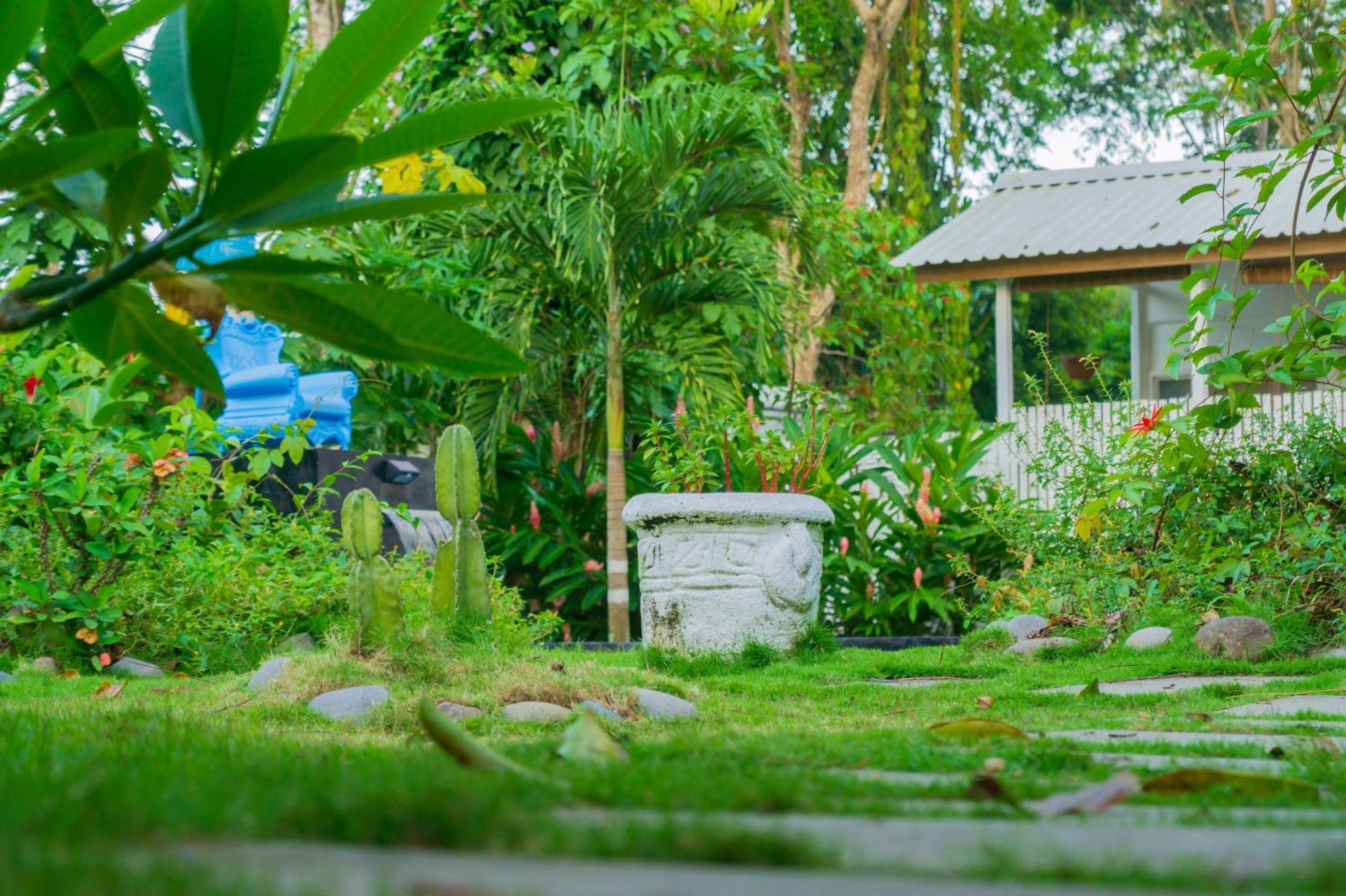 Olivia Del Caribe Suite Puerto Viejo de Talamanca Ngoại thất bức ảnh
