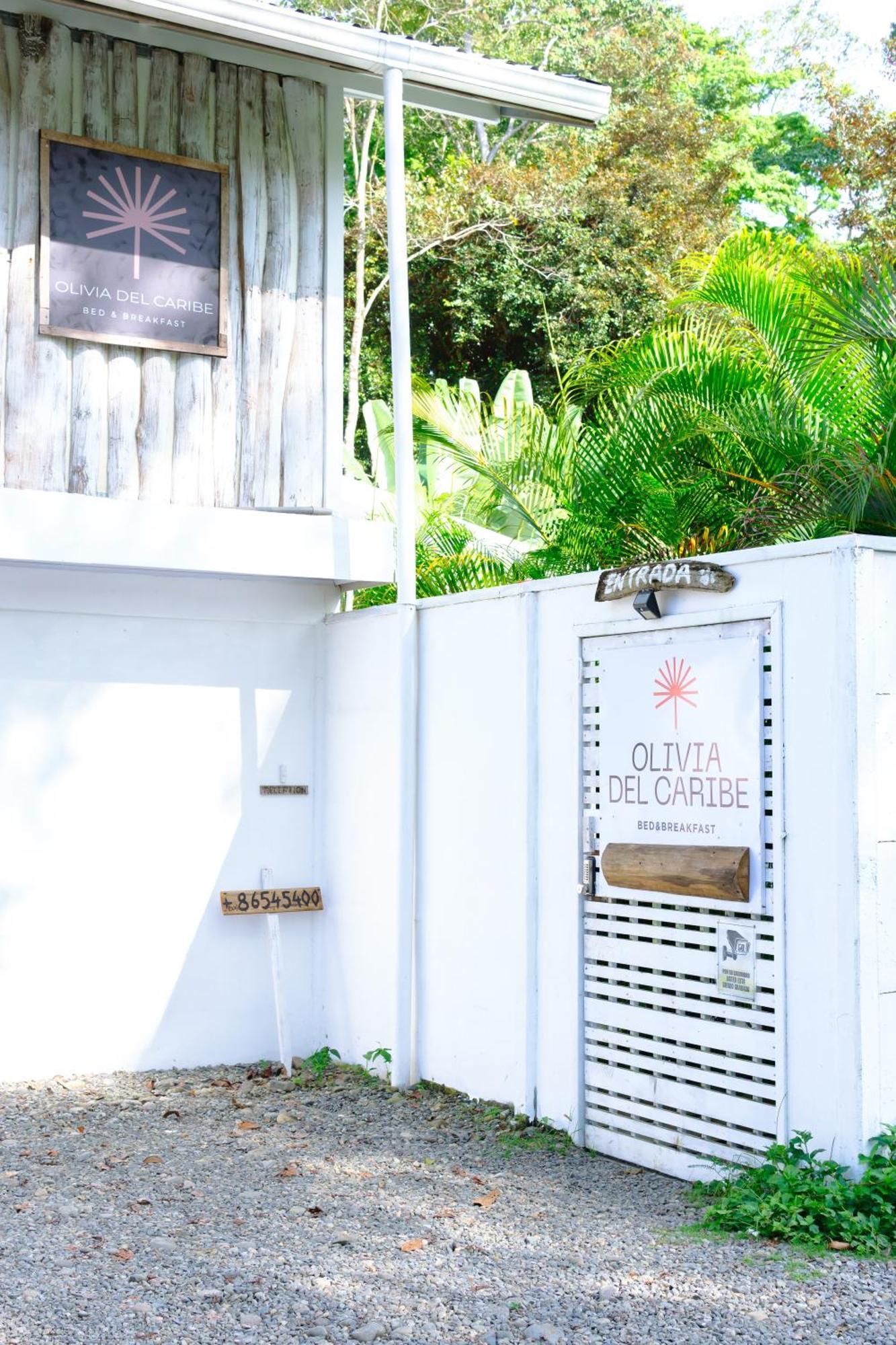 Olivia Del Caribe Suite Puerto Viejo de Talamanca Ngoại thất bức ảnh